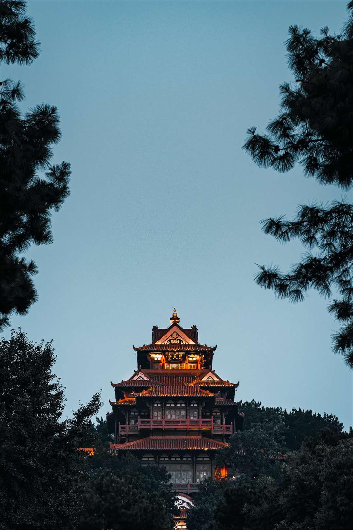 金花 炸金花